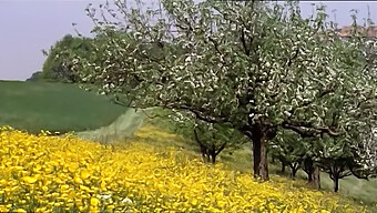 Vintage Pełny Film Z Udziałem Dziewczyny Masturbującej Się I Jedzącej Cipkę.