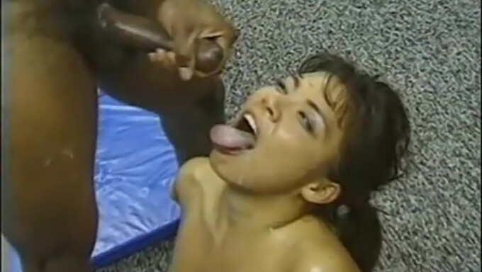 Pornô Alemão Vintage Com Peitos Grandes E Paus Grandes